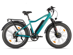 Eltreco BigCat Dual Next (зеленый матовый)