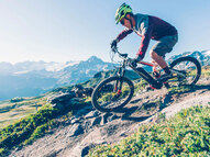 Электровелосипед Haibike XDURO Nduro 9.0