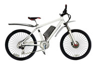 Электровелосипед E-motions Snow Leopard