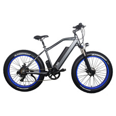 El-sport bike TDE-08 500W